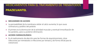 MEDICAMENTOS PARA EL TRATAMIENTO DE TREMATODOS
PRAZICUANTEL
 MECANISMO DE ACCION
 La permeabilidad de la membrana celular al calcio aumenta, lo que causa
contractura y parálisis del parásito
 El primero es la disminución de la actividad muscular y eventual inmovilización de
los parásitos, para su posterior eliminación.
 ACCION FARMACOLÓGICA
 Es el medicamento de elección para las formas de esquistosomiasis, otras
infecciones por trematodos e infecciones por teniasis y de forma oficial para la
cisticercosis
 