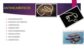 ANTIHELMÍNTICOS
 BENZIMIDAZOLES
 PAMOATO DE PIRANTEL
 TIABENDAZOL
 IVERMECTINA
 DIETILCARBAMAZINA
 PRAZICUANTEL
 NICLOSAMIDA
 ALBENDAZOL
 