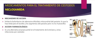 MEDICAMENTOS PARA EL TRATAMIENTO DE CESTODOS
NICLOSAMIDA
 MECANISMO DE ACCION
 Inhibe la fosforilacion de adenosina difosfato mitocondrial del parásito, lo que la
hace letal para el escólex y los segmentos del parasito pero no los huevecillos
 ACCION FARMACOLÓGICA
 Es una alternativa al prazicuantel en el tratamiento de la teniasis y otras
infecciones por cestodos
 
