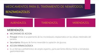 BENZIMIDAZOLES
MEBENDAZOL
 MECANISMO DE ACCION
 Principal: Inhibe el acoplamiento de los microtúbulos citoplasmático en las células intestinales del
parásito.
 Secundarios: Bloquea de forma irreversible la captación de glucosa.
 ACCION FARMACOLÓGICA
 Es un fármaco antihelmíntico de amplio espectro, particularmente efectivo frente a nematodos
gastrointestinales
MEDICAMENTOS PARA EL TRATAMIENTO DE NEMÁTODOS
ALBENDAZOL TIABENDAZOL MEBENDAZOL
 