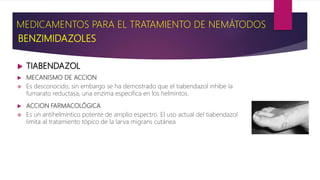  TIABENDAZOL
 MECANISMO DE ACCION
 Es desconocido, sin embargo se ha demostrado que el tiabendazol inhibe la
fumarato reductasa, una enzima especifica en los helmintos.
 ACCION FARMACOLÓGICA
 Es un antihelmíntico potente de amplio espectro. El uso actual del tiabendazol
limita al tratamiento tópico de la larva migrans cutánea
MEDICAMENTOS PARA EL TRATAMIENTO DE NEMÁTODOS
BENZIMIDAZOLES
 