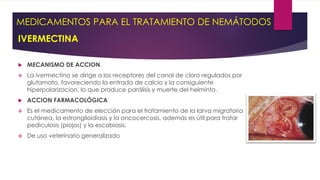 MEDICAMENTOS PARA EL TRATAMIENTO DE NEMÁTODOS
IVERMECTINA
 MECANISMO DE ACCION
 La ivermectina se dirige a los receptores del canal de cloro regulados por
glutamato, favoreciendo la entrada de calcio y la consiguiente
hiperpolarizacion, lo que produce parálisis y muerte del helminto.
 ACCION FARMACOLÓGICA
 Es el medicamento de elección para el tratamiento de la larva migratoria
cutánea, la estrongiloidiasis y la oncocercosis, además es útil para tratar
pediculosis (piojos) y la escabiasis.
 De uso veterinario generalizado
 