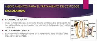 MEDICAMENTOS PARA EL TRATAMIENTO DE CESTODOS
NICLOSAMIDA
 MECANISMO DE ACCION
 Inhibe la fosforilacion de adenosina difosfato mitocondrial del parásito, lo
que la hace letal para el escólex y los segmentos del parasito pero no los
huevecillos
 ACCION FARMACOLÓGICA
 Es una alternativa al prazicuantel en el tratamiento de la teniasis y otras
infecciones por cestodos
 