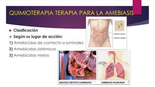 QUIMIOTERAPIA TERAPIA PARA LA AMEBIASIS
 Clasificación
 Según su lugar de acción:
1) Amebicidas de contacto o luminales
2) Amebicidas sistémicos
3) Amebicidas mixtos
 