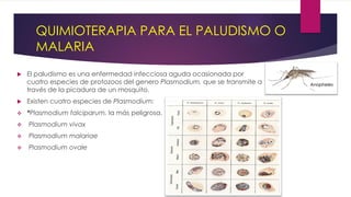 QUIMIOTERAPIA PARA EL PALUDISMO O
MALARIA
 El paludismo es una enfermedad infecciosa aguda ocasionada por
cuatro especies de protozoos del genero Plasmodium, que se transmite a
través de la picadura de un mosquito.
 Existen cuatro especies de Plasmodium:
 *Plasmodium falciparum, la más peligrosa.
 Plasmodium vivax
 Plasmodium malariae
 Plasmodium ovale
Anopheles
 