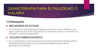 QUIMIOTERAPIA PARA EL PALUDISMO O
MALARIA
1) Primaquina
 MECANISMO DE ACCION
 Se cree que los metabolitos de la primaquina actúan como oxidantes y son
responsables de la acción esquizonticida y los efectos tóxicos consistentes en
hemolisis y metahemoglobinemia
 ACCION FARMACOLÓGICA
 Es un antipalúdico oral que erradica las formas primarias exoeritrocíticas
(tisulares) del plasmodio y las secundarias exoeritrocíticas de los
paludismos recurrentes
 