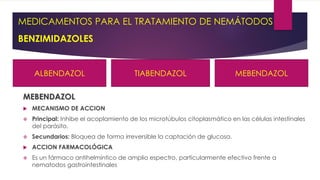BENZIMIDAZOLES
MEBENDAZOL
 MECANISMO DE ACCION
 Principal: Inhibe el acoplamiento de los microtúbulos citoplasmático en las células intestinales
del parásito.
 Secundarios: Bloquea de forma irreversible la captación de glucosa.
 ACCION FARMACOLÓGICA
 Es un fármaco antihelmíntico de amplio espectro, particularmente efectivo frente a
nematodos gastrointestinales
MEDICAMENTOS PARA EL TRATAMIENTO DE NEMÁTODOS
ALBENDAZOL TIABENDAZOL MEBENDAZOL
 
