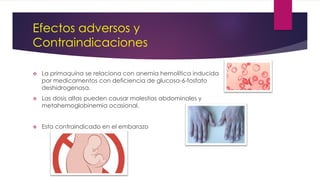 Efectos adversos y
Contraindicaciones
 La primaquina se relaciona con anemia hemolítica inducida
por medicamentos con deficiencia de glucosa-6-fosfato
deshidrogenasa.
 Las dosis altas pueden causar molestias abdominales y
metahemoglobinemia ocasional.
 Esta contraindicado en el embarazo
 
