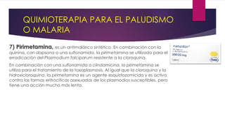 QUIMIOTERAPIA PARA EL PALUDISMO
O MALARIA
7) Pirimetamina, es un antimalárico sintético. En combinación con la
quinina, con dapsona o una sulfonamida, la pirimetamina se utilizado para el
erradicación del Plasmodium falciparum resistente a la cloroquina.
En combinación con una sulfonamida o clindamicina, la pirimetamina se
utiliza para el tratamiento de la toxoplasmosis. Al igual que la cloroquina y la
hidroxicloroquina, la pirimetamina es un agente esquistozomicida y es activo
contra las formas eritrocíticas asexuadas de los plasmodios susceptibles, pero
tiene una acción mucho más lenta.
 