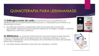 QUIMIOTERAPIA PARA LEISHMANIASIS
1) Estibogluconato de sodio, se administra por vía parenteral y se
distribuye por el compartimiento extravascular, su metabolismo es mínimo y se
excreta por la orina
 Sus efectos adversos comprenden dolor en el lugar de la inyección,
pancreatitis, elevación de las enzimas hepáticas, artralgias, mialgias, molestias,
digestivas y arritmias cardiacas.
2) Miltefosina, es el primer medicamento oral activo para la leishmaniasis
visceral, teniendo cierta actividad contra las variantes cutáneas y muco-
cutáneas, interfiriendo con los fosfolípidos en la membrana celular del parásito
para inducir apoptosis.
 Las reacciones adversas comunes son nauseas y vomito
 
