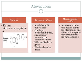 Atovacuona 
Química 
• Es una 
hidroxianatoquinon 
a 
Farmacocinética 
• Administración 
por vía oral 
• Con baja 
biodisponibilidad, 
su absorción 
aumenta con 
alimentos grasos 
• Vida media de 1 a 
3 días 
• Eliminada en las 
heces 
Mecanismo de 
acción 
• Atovacuona tiene 
una acción contra 
los plasmodios que 
altera el transporte 
de electrones en 
las mitocondria s. 
 