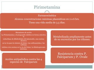 Pirimetamina 
Farmacocinética 
Alcanza concentraciones máximas plasmáticas en 2 a 6 hrs. 
Tiene una vida media de 3.5 días. 
Mecanismo de acción 
La Pirimetamina y el proguanilo inhiben en forma selectiva 
la 
reductilasa de dihidrofolato del plasmodio, una enzima 
decisiva 
en la vía para la síntesis de folato. Las sulfonamidas y las 
sulfonas 
inhiben otra enzima en la vía del folato. la dihidropteroato 
sintetasa. 
Acción antipalúdica contra las 4 
especies de Falciparum 
Metabolizada ampliamente antes 
de su excreción por los riñones. 
Resistencia contra P. 
Falciparum y P. Ovale 
 