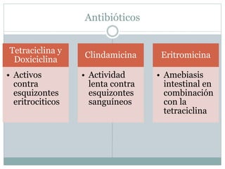Antibióticos 
Tetraciclina y 
Doxiciclina 
• Activos 
contra 
esquizontes 
eritrociticos 
Clindamicina 
• Actividad 
lenta contra 
esquizontes 
sanguíneos 
Eritromicina 
• Amebiasis 
intestinal en 
combinación 
con la 
tetraciclina 
 