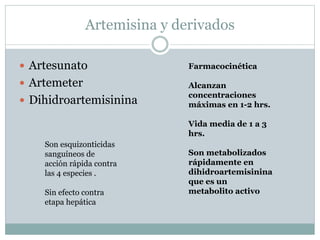 Artemisina y derivados 
 Artesunato 
 Artemeter 
 Dihidroartemisinina 
Farmacocinética 
Alcanzan 
concentraciones 
máximas en 1-2 hrs. 
Vida media de 1 a 3 
hrs. 
Son metabolizados 
rápidamente en 
dihidroartemisinina 
que es un 
metabolito activo 
Son esquizonticidas 
sanguíneos de 
acción rápida contra 
las 4 especies . 
Sin efecto contra 
etapa hepática 
 