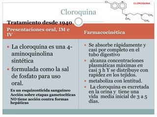 Cloroquina 
Presentaciones oral, IM e 
IV Farmacocinética 
 La cloroquina es una 4- 
aminoquinolina 
sintética 
 formulada como la sal 
de fosfato para uso 
oral. 
 Se absorbe rápidamente y 
casi por completo en el 
tubo digestivo 
 alcanza concentraciones 
plasmáticas máximas en 
casi 3 h Y se distribuye con 
rapidez en los tejidos. 
 metaboliza con lentitud. 
 La cloroquina es excretada 
en la orina y tiene una 
vida media inicial de 3 a 5 
días. 
Tratamiento desde 1940 
Es un esquizonticida sanguíneo 
Acción sobre etapas gametociticas 
NO tiene acción contra formas 
hepáticas 
 