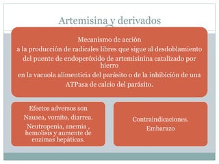 Artemisina y derivados 
Mecanismo de acción 
a la producción de radicales libres que sigue al desdoblamiento 
del puente de endoperóxido de artemisinina catalizado por 
hierro 
en la vacuola alimenticia del parásito o de la inhibición de una 
ATPasa de calcio del parásito. 
Efectos adversos son 
Nausea, vomito, diarrea. 
Neutropenia, anemia , 
hemolisis y aumente de 
enzimas hepáticas. 
Contraindicaciones. 
Embarazo 
 