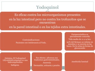 Yodoquinol 
Es eficaz contra los microorganismos presentes 
en la luz intestinal pero no contra los trofozoítos que se 
encuentran 
en la pared intestinal o en los tejidos extra intestinales. 
Contraindicaciones 
Pacientes con intolerancia al Yodo. 
Química, El Yodoquinol 
(diyodohidroxiquina) es una 
hidroxiquinolina 
halógena. 
Sus efectos adversos son 
trastornos gastrointestinales, 
Anorexia 
Dermatitis, urticaria y prurito. 
Farmacocinética es 
parcialmente conocida 
Vida media de 11 a 14 hrs. 
90% del fármaco se retiene en 
intestino y se excreta en las 
heces. En la orina en forma de 
glucuronido 
Amebicida luminal 
 