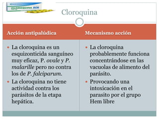 Cloroquina 
Acción antipalúdica Mecanismo acción 
 La cloroquina es un 
esquizonticida sanguíneo 
muy eficaz, P. ovale y P. 
malarille pero no contra 
los de P. falciparum. 
 La cloroquina no tiene 
actividad contra los 
parásitos de la etapa 
hepática. 
 La cloroquina 
probablemente funciona 
concentrándose en las 
vacuolas de alimento del 
parásito. 
 Provocando una 
intoxicación en el 
parasito por el grupo 
Hem libre 
 