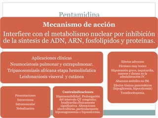 Pentamidina 
Mecanismo de acción 
Interfiere con el metabolismo nuclear por inhibición 
de la síntesis de ADN, ARN, fosfolípidos y proteínas. 
Aplicaciones clínicas 
Neumocistosis pulmonar y extrapulmonar. 
Tripanosomiasis africana etapa hemolinfatica 
Leishmaniosis visceral y cutánea 
Presentaciones 
Intravenosa 
Intramuscular 
Nebulización 
Contraindicaciones 
Hipersensibilidad. Prolongación 
del intervalo QT congénito; 
bradicardia clínicamente 
significativa. Alteraciones 
electrolíticas, particularmente 
hipomagnesemia o hipocalcemia. 
Efectos adversos 
Fármaco muy toxico 
Hipotensión grave, taquicardia, 
mareos y disnea en la 
administración IV. 
Abscesos estériles en IM. 
Efectos tóxicos pancreáticos 
(hipoglicemia, hipocalcemia) 
Trombocitopenia, 
 