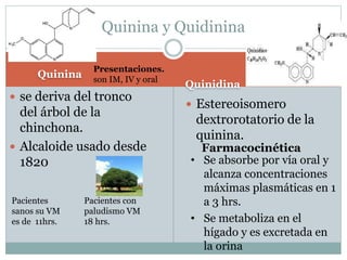 Quinina 
Quinina y Quidinina 
Quinidina 
 se deriva del tronco 
del árbol de la 
chinchona. 
 Alcaloide usado desde 
1820 
 Estereoisomero 
dextrorotatorio de la 
quinina. 
Farmacocinética 
• Se absorbe por vía oral y 
alcanza concentraciones 
máximas plasmáticas en 1 
a 3 hrs. 
• Se metaboliza en el 
hígado y es excretada en 
la orina 
Pacientes con 
paludismo VM 
18 hrs. 
Pacientes 
sanos su VM 
es de 11hrs. 
Presentaciones. 
son IM, IV y oral 
 