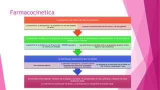 Farmacocinetica
se excretan orina además también en el esputo y la leche. Su penetración en ojo, próstata y sistema nervioso
central es mala.
La nafcilina se exreta por via biliar. La dicloxacilina y cloxacilina excreción dual.
Se distribuyen ampliamente por los tejidos
Son moléculas polares
La penicilinas benzatinica y procainica están
diseñadas para liberación prolongada.
(infección streptococo b hemolítico)
La semivida de la penicilina Ges de 30min en
ERC 10 horas. Ampicilinas 1 hora.
Su absorción se altera por la presencia de alimentos por la que se recomienda su administración 1-2 horas antes o
después de la comida.
La penicilina G se prefiere la via EV que la IM . 1GRAMO equivale a
1.6 millones de unidades
Las penicilinas con elevada unión a las proteínas alcanzan niveles
bajas en suero (nafcilina)
La absorción oral difiere del tipo de penicilina
La amoxicilina, la dicloxacilina y la ampicilina son las mas estables
en acido.
Alcanzan concentraciones séricas entre 4 y 8 microgramos
 