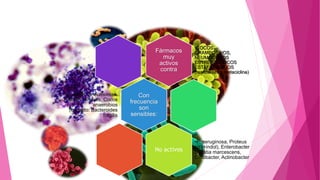 Fármacos
muy
activos
contra
•COCOS
GRAMPOSIVOS,
NEUMOCOCOS
ESTREPTOCOCOS
ESTAFILOCOCOS
(resistentes a metaciclina)
Con
frecuencia
son
sensibles:
E. coli, K. pneumoniae,
Proteus mirabilis, Cocos
anaerobios
(excepto: Bacteroides
fragilis
No activos
•P. aeruginosa, Proteus
sp (+indol), Enterobacter
serratia marcescens,
Citrobacter, Actinobacter
 