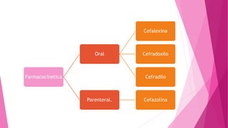 Farmacocinetica
Oral
Cefalexina
Cefradoxilo
Cefradilo
Parenteral. Cefazolina
 