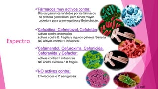 Espectro
Fármacos muy activos contra:
Microorganismos inhibidos por los fármacos
de primera generación, pero tienen mayor
cobertura para gramnegativos y Enterobacter.
Cefoxitina, Cefmetazol, Cefotetán:
Activos contra anaerobios
Activos contra B. fragilis y algunos géneros Serratia
NO activos contra H. influenzae
Cefamandol, Cefuroxima, Cefonicida,
Ceforanida y Cefaclor:
Activas contra H. influenzae
NO contra Serratia o B fragilis
NO activos contra:
Enterococos o P. aeruginosa
E coli
 