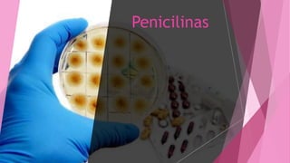 Penicilinas
 