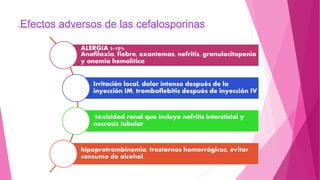 Efectos adversos de las cefalosporinas
ALERGIA 5-10%
Anafilaxia, fiebre, exantemas, nefritis, granulocitopenia
y anemia hemolítica
Irritación local, dolor intenso después de la
inyección IM, tromboflebitis después de inyección IV
toxicidad renal que incluye nefritis intersticial y
necrosis tubular
hipoprotrombinemia, trastornos hemorrágicos, evitar
consumo de alcohol.
 