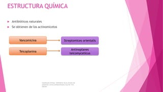 ESTRUCTURA QUÍMICA
 Antibióticos naturales
 Se obtienen de los actinomicetos
Vancomicina
Teicoplanina
Antinoplanes
teicomyceticus
Streptomices orientalis
Goodman& Gliman. Inhibidores de la síntesis de
proteínas y otros antibacterianos.Cap 46.11va
edición
 
