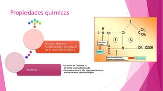 Propiedades químicas
Presenta:
• Un anillo de Tiazolina (A)
• Un anillo beta-lactamico (B)
• Una cadena lateral (R), rige características
antibacterianas y farmacológicas.
Núcleo, elemento
fundamental y estructural
de la actividad biológica.
 
