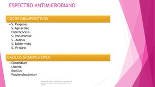 ESPECTRO ANTIMICROBIANO
COCOS GRAMPOSITIVOS
• S. Pyogenes
S. Agalactiae
Enterococcus
S. Pneumoniae
S . Aureus
S. Epidermidis
S. Viridans
BACILOS GRAMPOSITIVOS
• Clostridium
Listeria
Bacillus
Propionobacterium
Goodman& Gliman. Inhibidores de la síntesis de
proteínas y otros antibacterianos.Cap 46.11va
edición
 
