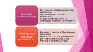 • Son resistentes a las lactamasas de los
estafilococos
• Ejercen actividad contra los
estafilococos
• No ejercen actividad contra los
enterococos, anaerobios, gramnegativos
Penicilinas
antiestafilococicas
• Conservan el espectro antibacteriano de
la penicilina
• Mejor acción contra los gramnegativos
• Son relativament suceptibles a la
hidrolisis de las betalactamasas
Amplio espectro
(ampicilinas y
antiseudomonas)
 