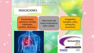 INDICACIONES
Furunculosis,
carbunco, heridas
infectadas,
celulitis, abscesos.
Infecciones del
tracto respiratorio
(alto y bajo):
Amigdalitis,
faringitis, otitis,
bronquitis,
neumonía.
 