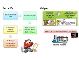 Secreción
Secreción en 24
horas
40 a 60 unidades
50% en forma
continua (basal)
0.85-1U/hora.
50 % con cada
ingesta
alimentaria
11U desayuno
13U almuerzo
14U merienda
Origen
Modificación o recombinación de ADN
 