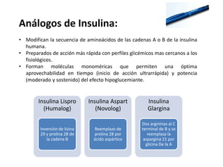 Análogos de Insulina:
• Modifican la secuencia de aminoácidos de las cadenas A o B de la insulina
humana.
• Preparados de acción más rápida con perfiles glicémicos mas cercanos a los
fisiológicos.
• Forman moléculas monoméricas que permiten una óptima
aprovechabilidad en tiempo (inicio de acción ultrarrápida) y potencia
(moderado y sostenido) del efecto hipoglucemiante.
Insulina Lispro
(Humalog)
Inversión de lisina
29 y prolina 28 de
la cadena B
Insulina Aspart
(Novolog)
Reemplazo de
prolina 28 por
ácido aspártico
Insulina
Glargina
Dos argininas al C
terminal de B y se
reemplaza la
aspargina 21 por
glicina De la A
 