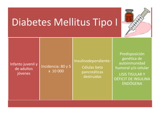 Diabetes Mellitus Tipo I :
Infanto juvenil y
de adultos
jóvenes
Incidencia: 80 y 5
x 10 000
Insulinodependiente:
Células beta
pancreáticas
destruidas
Predisposición
genética de
autoinmunidad
humoral y/o celular
LISIS TISULAR Y
DÉFICIT DE INSULINA
ENDÓGENA
 