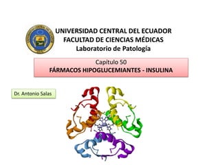 UNIVERSIDAD CENTRAL DEL ECUADOR
FACULTAD DE CIENCIAS MÉDICAS
Laboratorio de Patología
Capítulo 50
FÁRMACOS HIPOGLUCEMIANTES - INSULINA
Dr. Antonio Salas
 