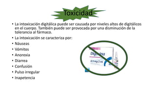 Toxicidad
• La intoxicación digitálica puede ser causada por niveles altos de digitálicos
en el cuerpo. También puede ser provocada por una disminución de la
tolerancia al fármaco.
• La intoxicación se caracteriza por:
• Náuseas
• Vómitos
• Anorexia
• Diarrea
• Confusión
• Pulso irregular
• Inapetencia
 