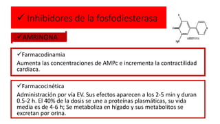  Inhibidores de la fosfodiesterasa
AMRINONA
Farmacodinamia
Aumenta las concentraciones de AMPc e incrementa la contractilidad
cardiaca.
Farmacocinética
Administración por vía EV. Sus efectos aparecen a los 2-5 min y duran
0.5-2 h. El 40% de la dosis se une a proteínas plasmáticas, su vida
media es de 4-6 h; Se metaboliza en hígado y sus metabolitos se
excretan por orina.
 