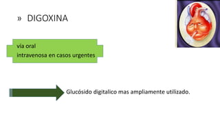 » DIGOXINA
vía oral
intravenosa en casos urgentes
→ Glucósido digitalico mas ampliamente utilizado.
 