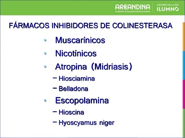 Como es posible curar la psoriasis por la celidonia mayor