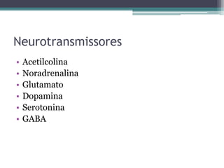 Neurotransmissores 
• Acetilcolina 
• Noradrenalina 
• Glutamato 
• Dopamina 
• Serotonina 
• GABA 
 
