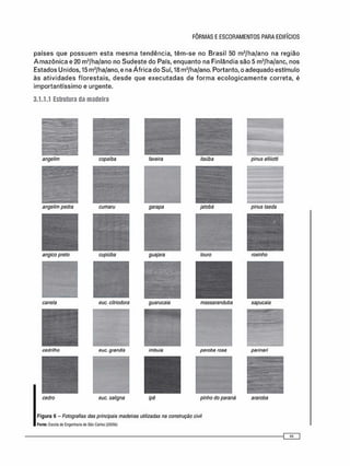 países que p o s s u e m e s t a m e s m a tendência, t ê m - s e no Brasil 50 m3 /ha/ano na região
A m a z ô n i c a e 20 m3 /ha/ano no S u d e s t e do País, enquanto na Finlândia são 5 m3 /ha/anc, nos
Estados Unidos, 15 m3 /ha/ano, e na Á f r i c a do Sul, 18 m3 /ha/ano. Portanto, o adequado estímulo
às a t i v i d a d e s f l o r e s t a i s , d e s d e que e x e c u t a d a s de f o r m a e c o l o g i c a m e n t e correta, é
importantíssimo e urgente.
3.1.1.1 Estrutura da madeira
• g y |
angelim copaiba faveira itaúba pinus elliiotti
angelim pedra cumaru garapa jatobá pinus taeda
angico preto cupiúba guajara louro roxinho
canela euc. citriodora guarucaia massaranduba sapucaia
cedrilho euc. grandis imbuiu peroba rosa parinari
m
cedro euc. saligna ipê pinho do paraná araroba
F i g u r a 6 - Fotografias das principais madeiras utilizadas na construção civil
Fonte: Escola do Engeatana do Sâo Carlos (2005t>)
 