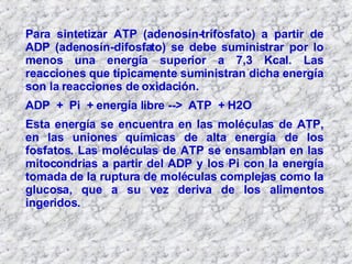 Para sintetizar ATP (adenosín-trifosfato) a partir de ADP (adenosín-difosfato) se debe suministrar por lo menos una energía superior a 7,3 Kcal. Las reacciones que típicamente suministran dicha energía son la reacciones de oxidación.  ADP  +  Pi  + energía libre -->  ATP  + H2O  Esta energía se encuentra en las moléculas de ATP, en las uniones químicas de alta energía de los fosfatos. Las moléculas de ATP se ensamblan en las mitocondrias a partir del ADP y los Pi con la energía tomada de la ruptura de moléculas complejas como la glucosa, que a su vez deriva de los alimentos ingeridos.  