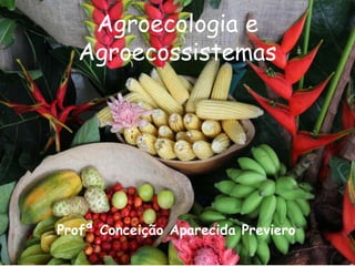Profª Conceição Aparecida Previero
Agroecologia e
Agroecossistemas
 