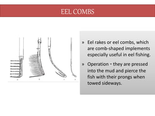 EEL COMBS
» Eel rakes or eel combs, which
are comb-shaped implements
especially useful in eel fishing.
» Operation - they are pressed
into the mud and pierce the
fish with their prongs when
towed sideways.
 