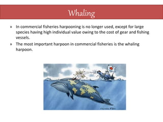 Whaling
» In commercial fisheries harpooning is no longer used, except for large
species having high individual value owing to the cost of gear and fishing
vessels.
» The most important harpoon in commercial fisheries is the whaling
harpoon.
 