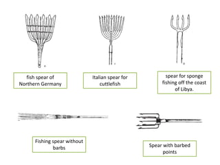 fish spear of
Northern Germany
Italian spear for
cuttlefish
spear for sponge
fishing off the coast
of Libya.
Fishing spear without
barbs Spear with barbed
points
 